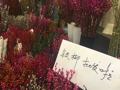 -双季花艺园艺市场(浦东店)