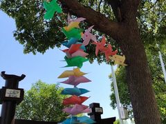 -南京金牛湖风景区