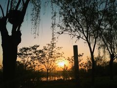-灞河西岸滨河公园