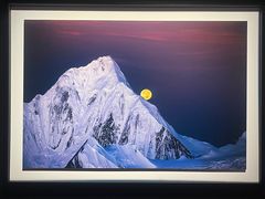 -罗红摄影艺术馆