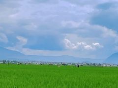 -大理洱海
