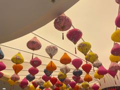 -守柴炉烤鸭(科华中路王府井店)