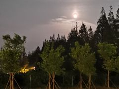 -前小桔亲子创意农场·草莓采摘·露营烧烤