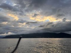 -才村湿地公园