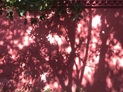 -南岳衡山风景名胜区-南岳大庙