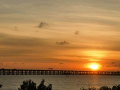 -宝安西湾红树林湿地公园