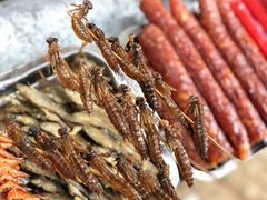 -泸沽湖国家级风景名胜区走婚桥