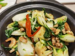 生啫白菜苗-尚一汤·粤菜海鲜(环球港店)