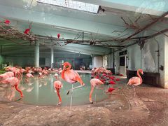 -石家庄市动物园