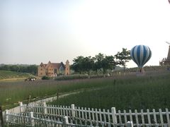 -大塘金香草谷