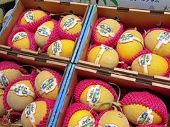 -水果天空(东葛店)