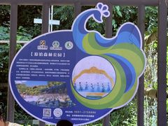 -野象谷景区