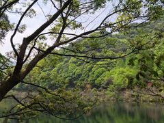 -宁海森林温泉