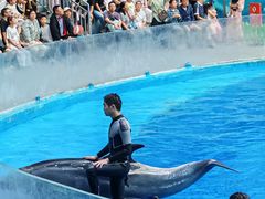 -海合安成都极地海洋公园