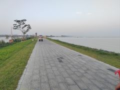 -合肥滨湖国家森林公园