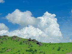 -大姆山草场