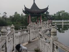 -青龙山国家森林公园