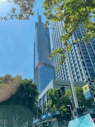 -大美母婴月子专护中心(紫峰店)