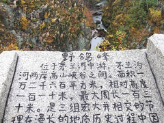 -茅兰沟国家森林公园