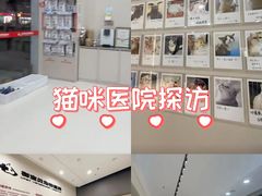 -御宝贝24h宠物医院·转诊中心·CT核磁血透中心(厦门总院)