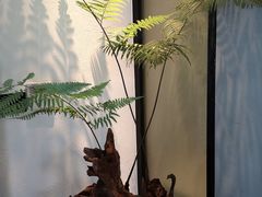 -子福慧(虹桥店)