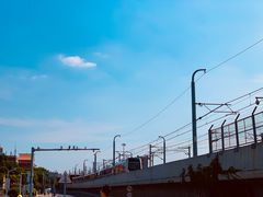 -海堤纪念公园
