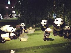 iphone_upload_pic-成都泰迪熊博物馆