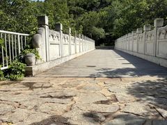 -白水寺森林公园