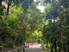 -东望洋炮台东望洋灯塔