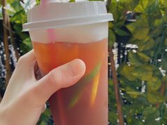 柠檬茶-柴犬高等学院·狗咖·柴犬售卖·宠物训练