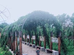 -贵阳市花溪国家城市湿地公园