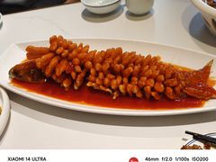 珊瑚鲩鱼-刘胖子家常菜·蹄花焖藕(江汉路总店)