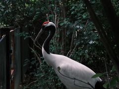 -南昌动物园