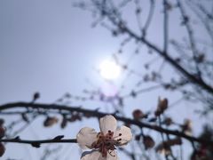 -北京凤凰岭