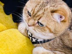 -argangKaffe(宝庆路店)