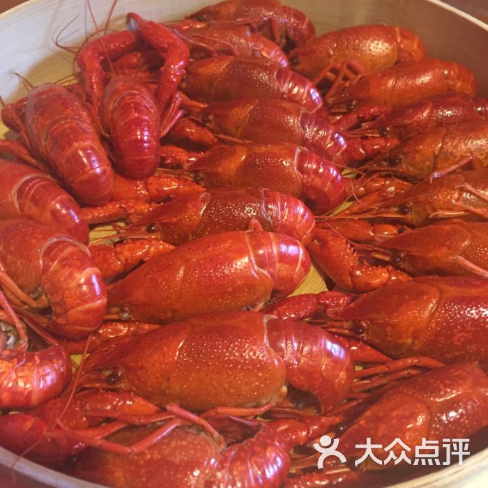 三太子龙虾图片 - 第442张