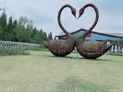 -东平国家森林公园