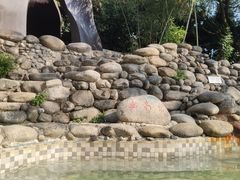 -三江森林温泉度假区