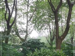 -昆山城市生态森林公园