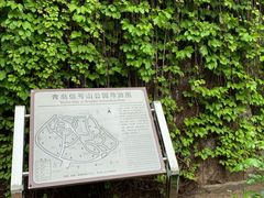-信号山公园