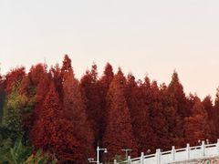 -怡得观滇餐厅·地道昆明菜·1996(海埂大坝店)