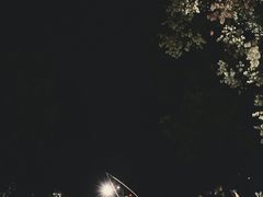-西司夜市