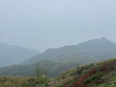 -江南天池