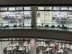 -苏州大学（独墅湖校区）-炳麟图书馆
