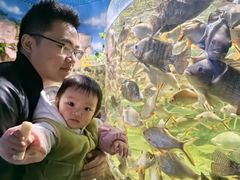 -多彩贵州城极地海洋世界