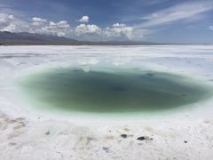 -仔耳朵冷锅鱼蛙芋儿鸡(莲花东路店)