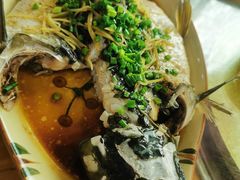 -肥仔美食