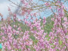 -贵阳市花溪国家城市湿地公园