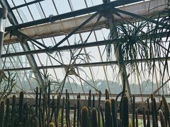 -南山植物园