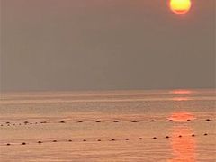 -日照灯塔风景区